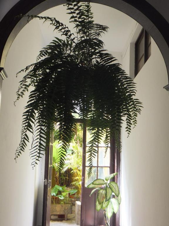 Hotel Casa Colonial Cejas Santa Cruz de Tenerife Exterior foto